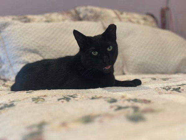 Duke
