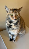 Mimi - Photo 3