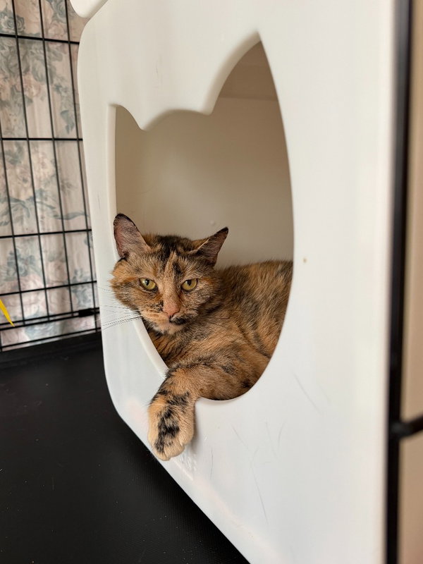 Mimi