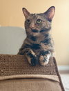 Mimi - Photo 2