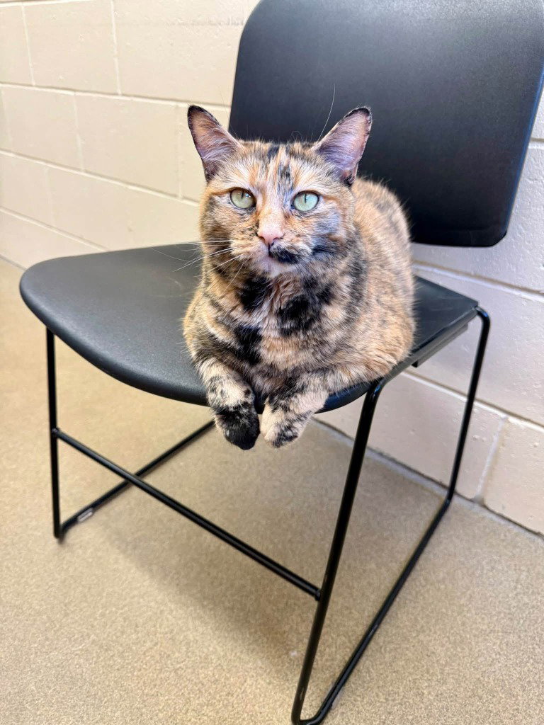 Mimi