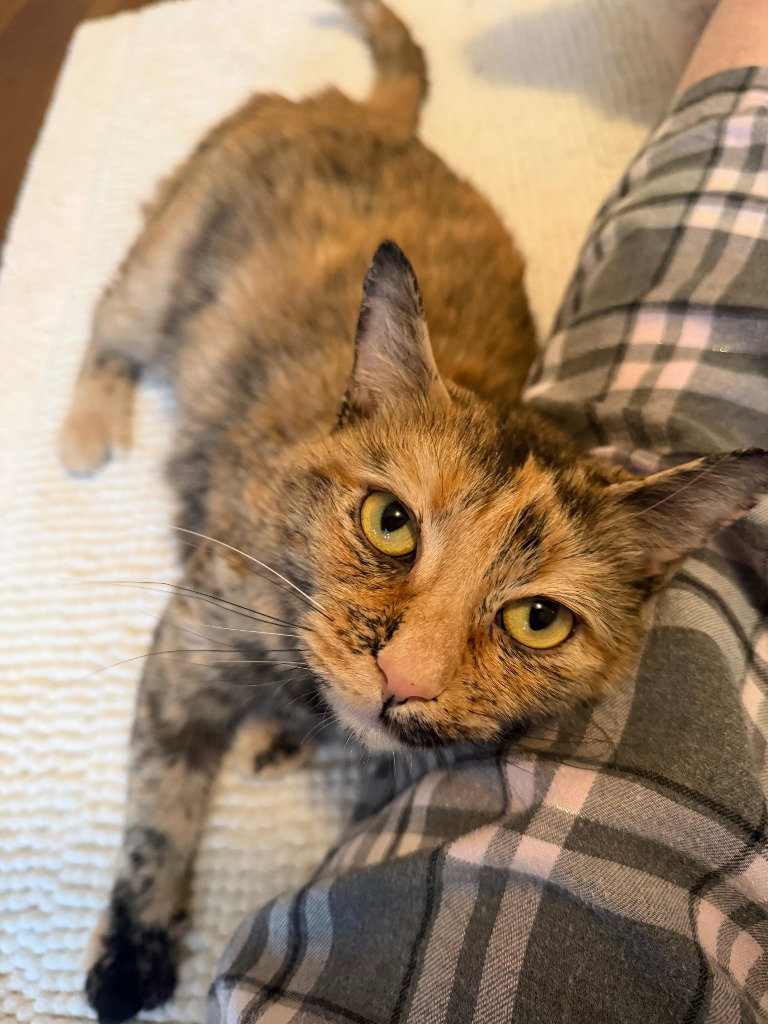Mimi, photo 3