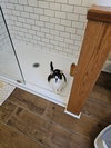 Patches - Photo 3