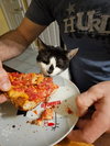 Patches - Photo 3