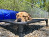 Lucy - Photo 2