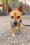 Lucy - Photo 3
