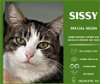 adoptable Cat in  named Sissy