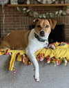 DOUG - Photo 2