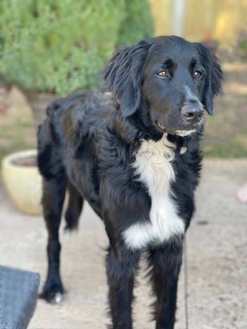 **NYXIE**