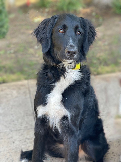 **NYXIE**