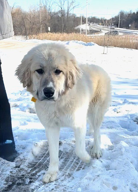 **ASPEN**