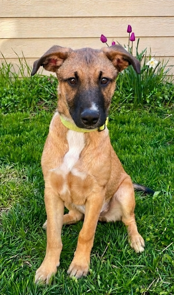 **CASSIUS**