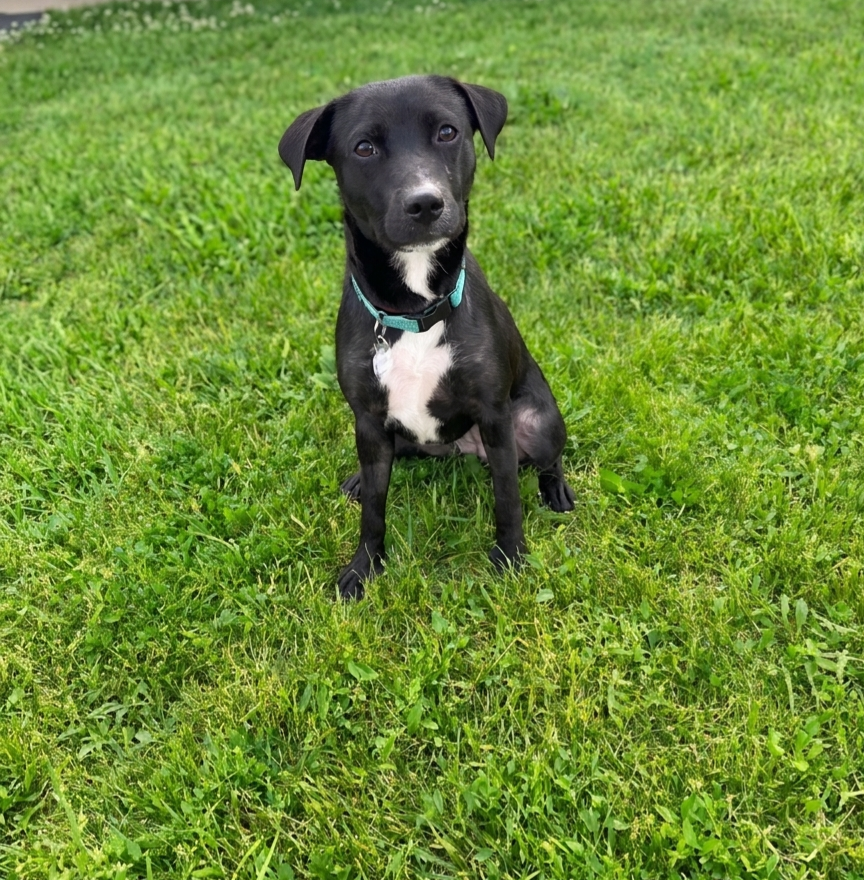 **MAGGIE**