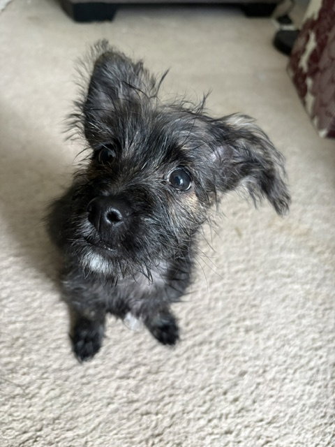 **Jake** photo 3