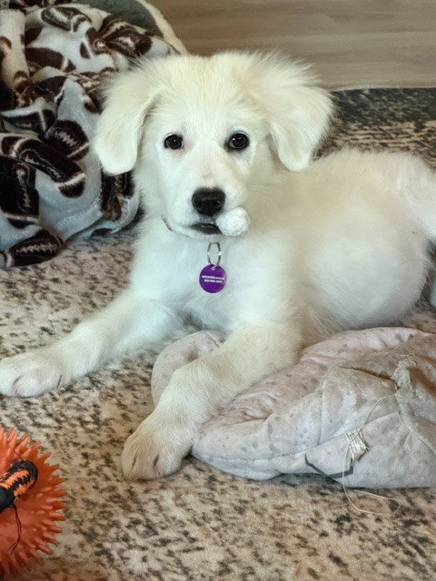 **Ellie**