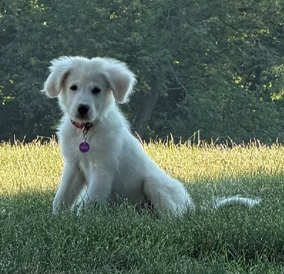 **Ellie** photo 2