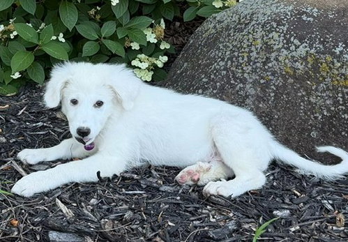 **Ellie** photo 3