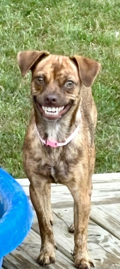 **LITTLE GIRL**