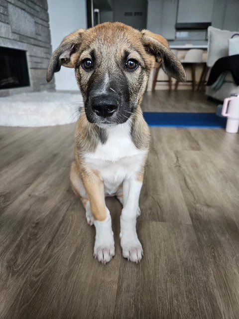 Keegan