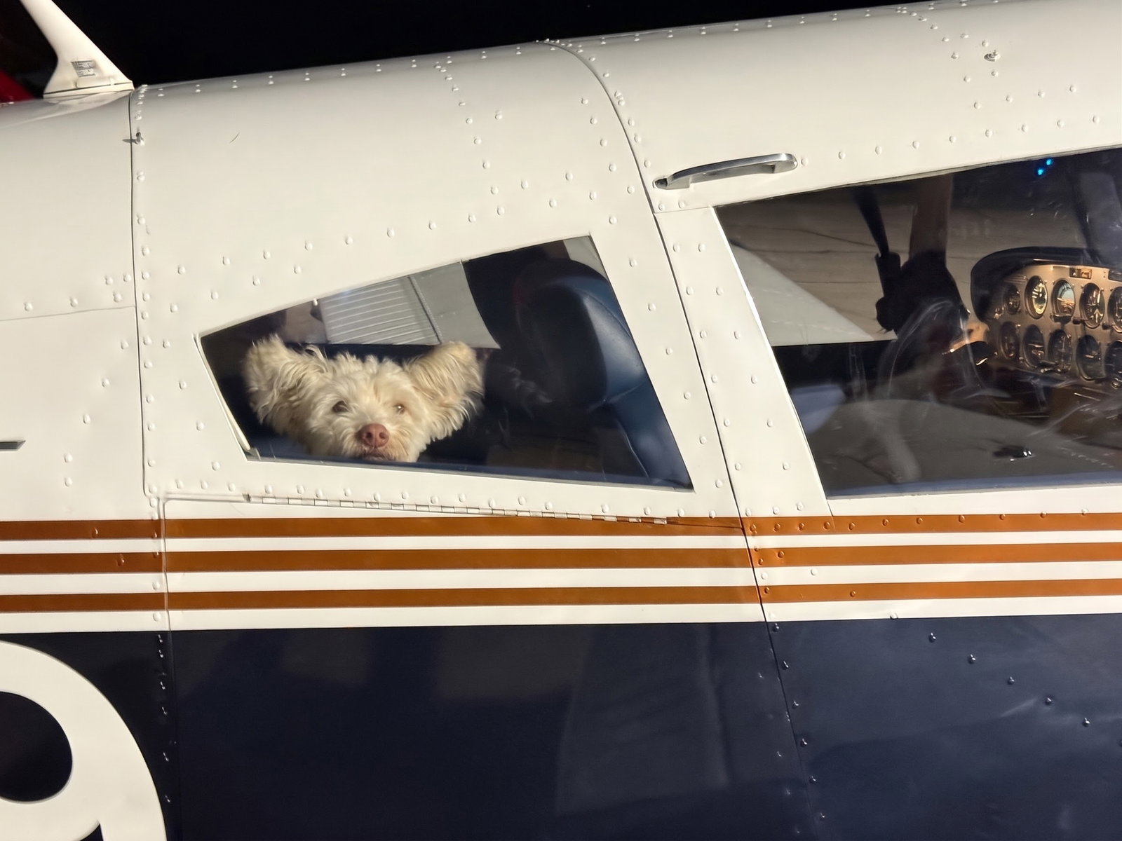 **TITO**