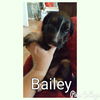 Bailey