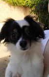 Miss Milly
