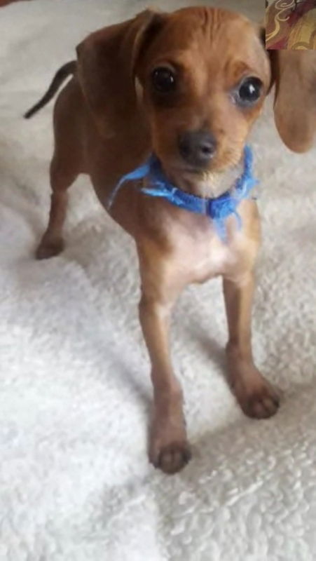Carlos