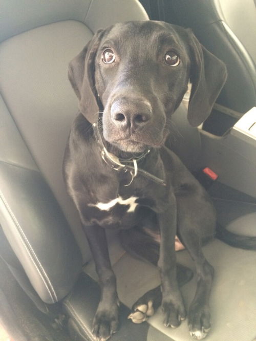 Luna (Shelby Lynn)