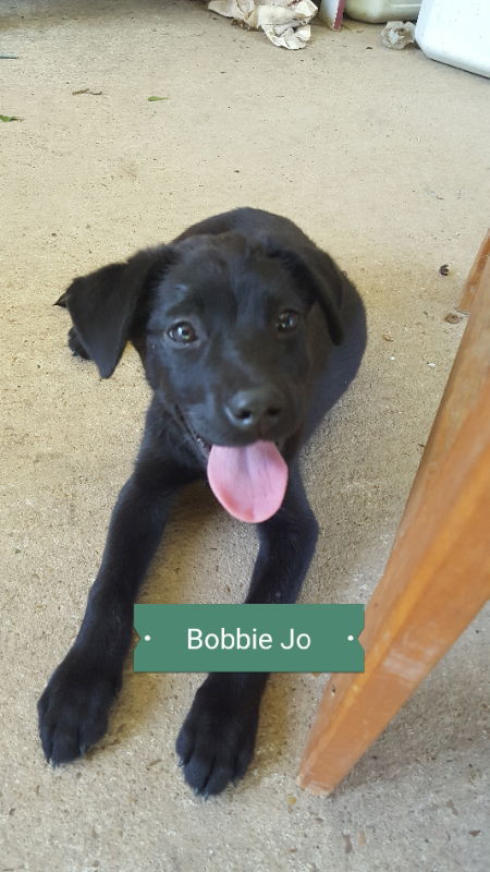 Bobbie Jo