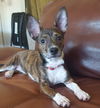 Roxy