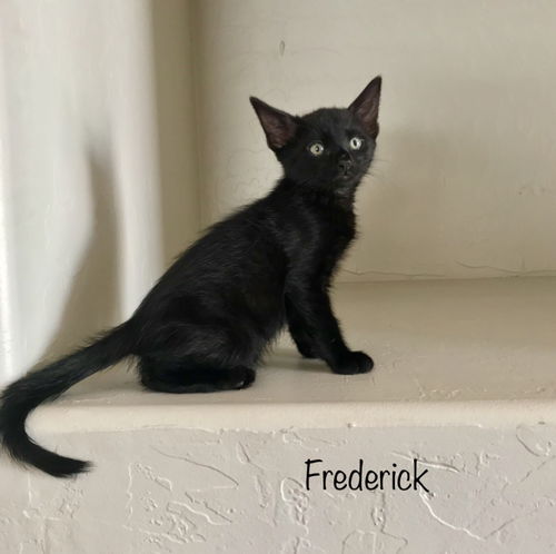 Frederick