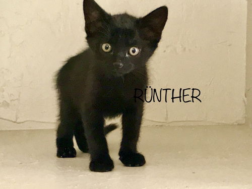 Runther