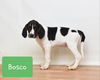 Bosco