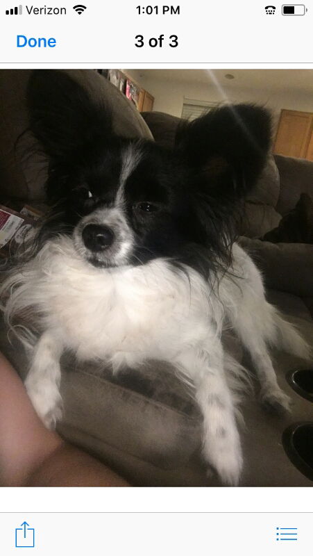 Mickey