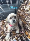 Skye