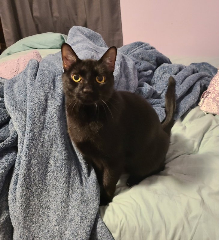 Leroy