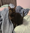Leroy - Photo 1