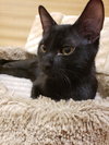 Leroy - Photo 3