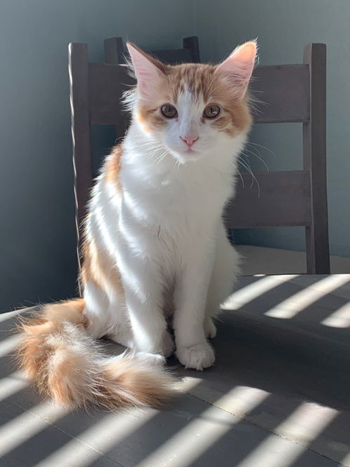 Charlie