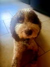 Charly