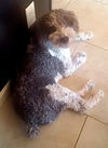 Charly