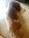 Charly