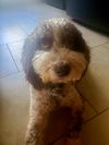Charly