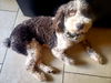 Charly