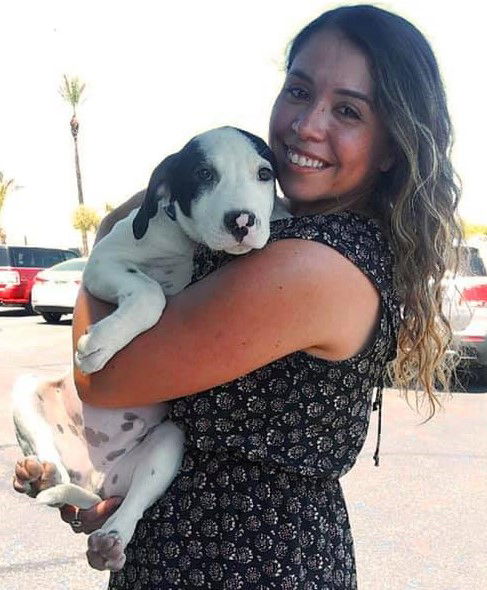 Bruiser