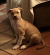 Zoe