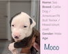 Moco