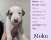 Moku