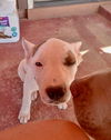 Zoey