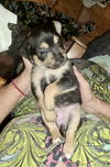 Ruby Sue